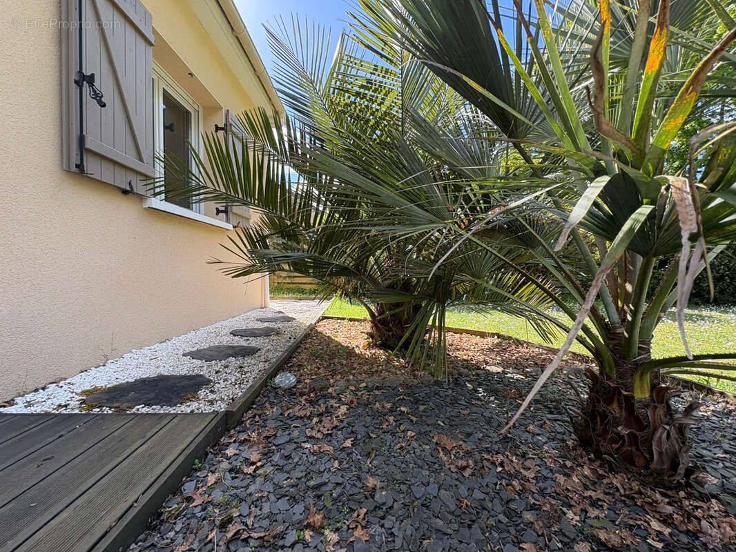 Maison à THOUARE-SUR-LOIRE