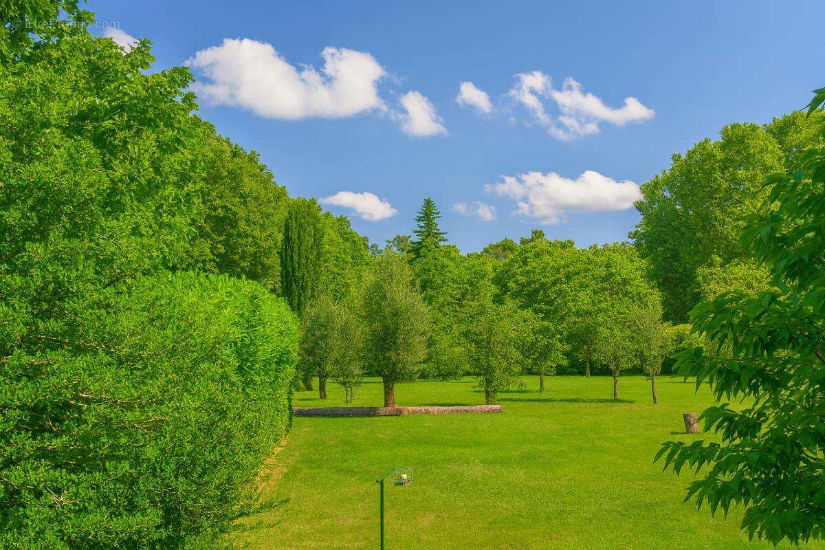 Maison 110m², 2 chambres, bureau, avec fort potentiel d'agrandissement, jardin arboré de près de 7000m², 5 pièces, 2 chambres- 4 - photo 3
