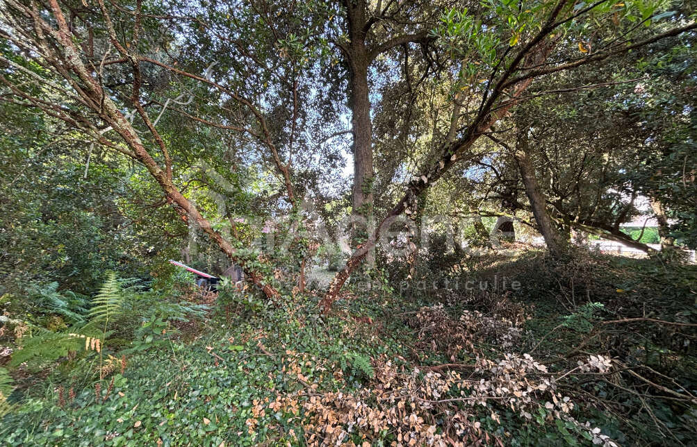 Terrain à VAUX-SUR-MER