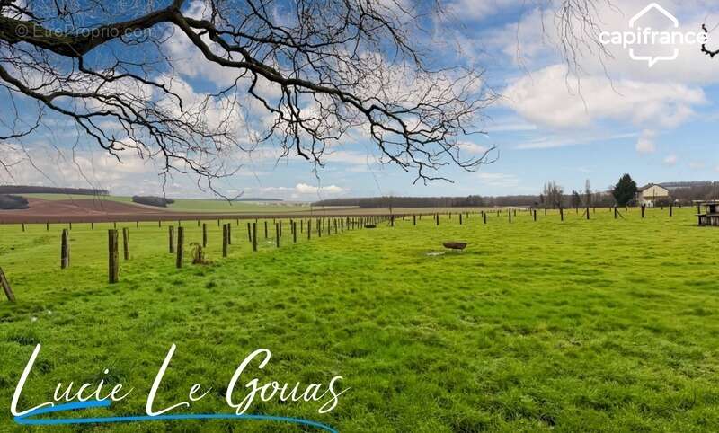 Ferme équestre - photo 20