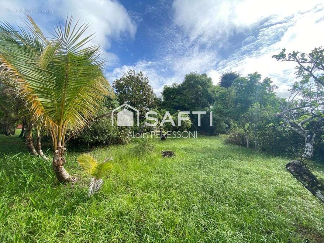 Photo 3 - Maison à MATOURY