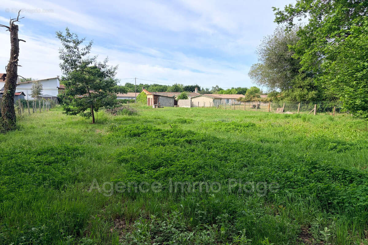 Terrain à SAINT-VIVIEN-DE-MEDOC
