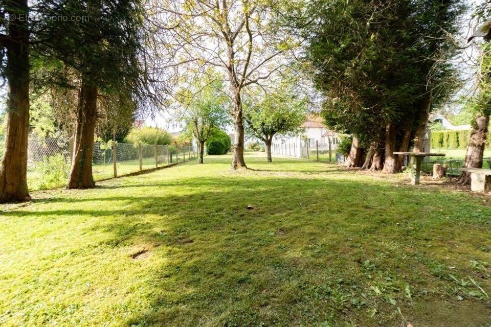 Terrain à NESLES-LA-VALLEE