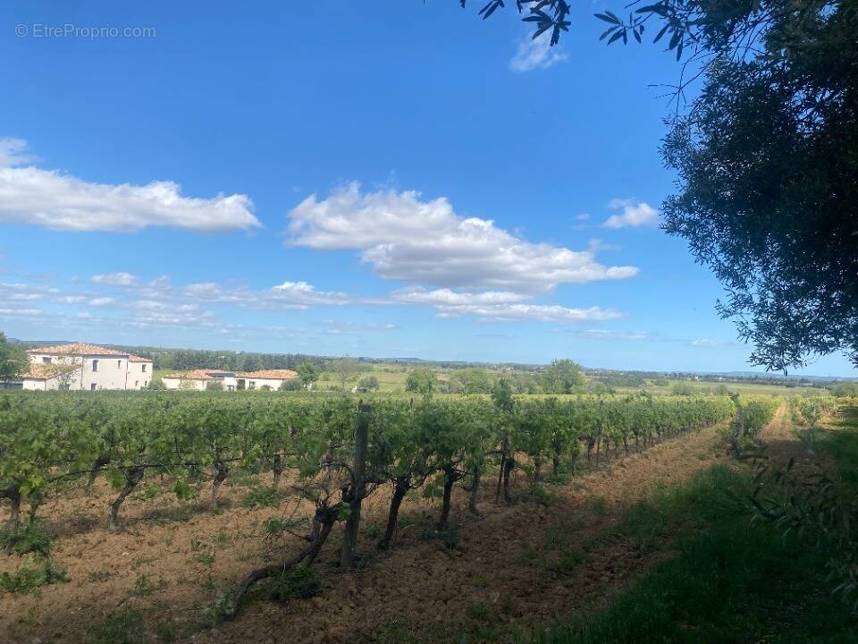 Terrain à GINESTAS