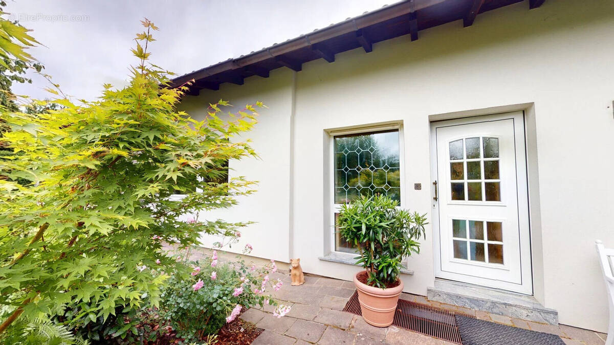 Maison à WISSEMBOURG