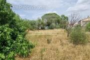 Terrain à SORGUES
