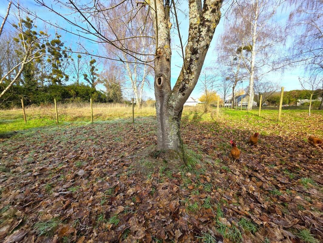 Photo 1 - Terrain à BAUGE