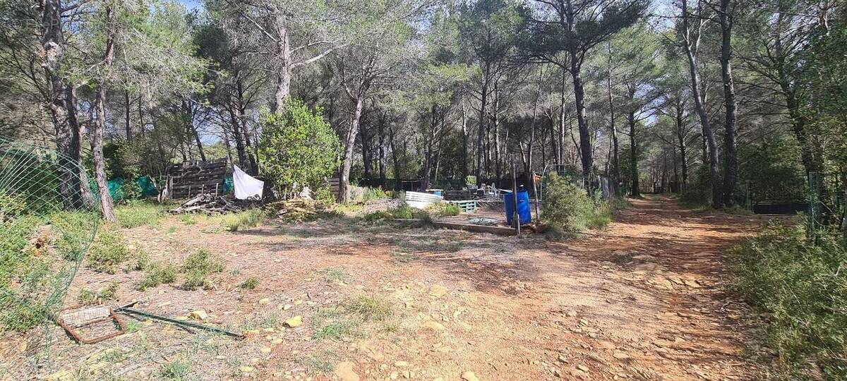 LE BEAUSSET-TERRAIN 690M²-NON CONSTRUCTIBLE-A VENDRE-NATURE ET - Terrain à LE BEAUSSET