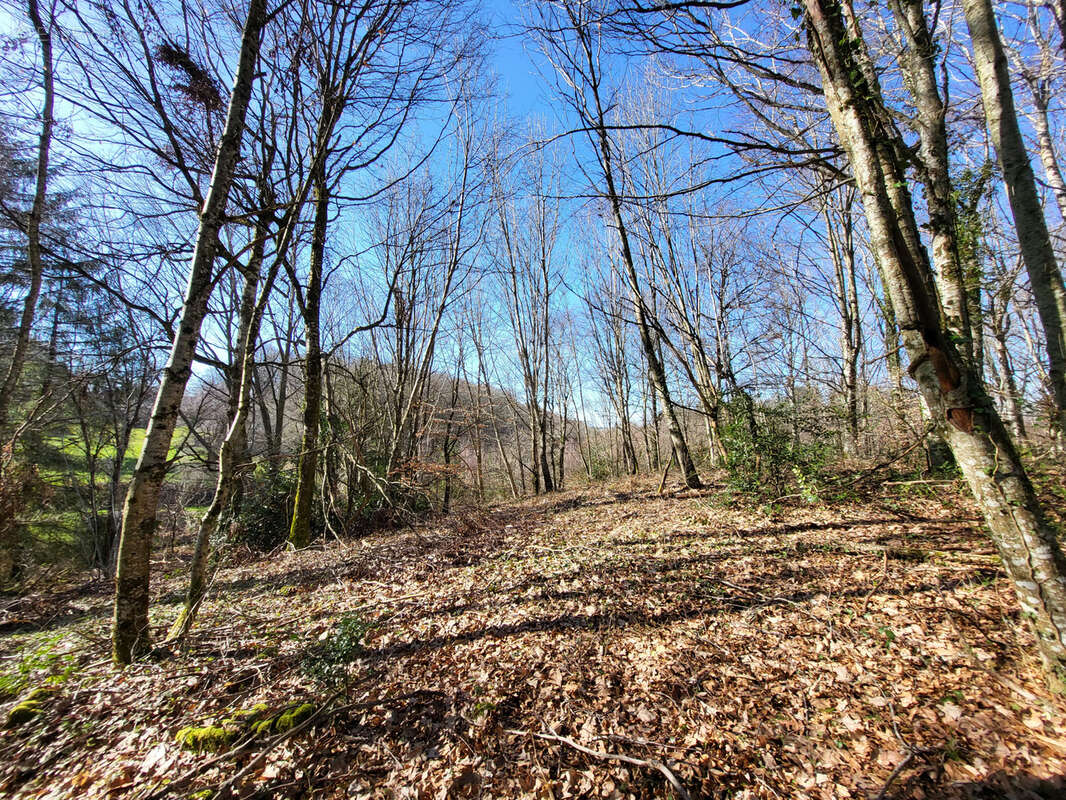 Terrain à LATRONQUIERE