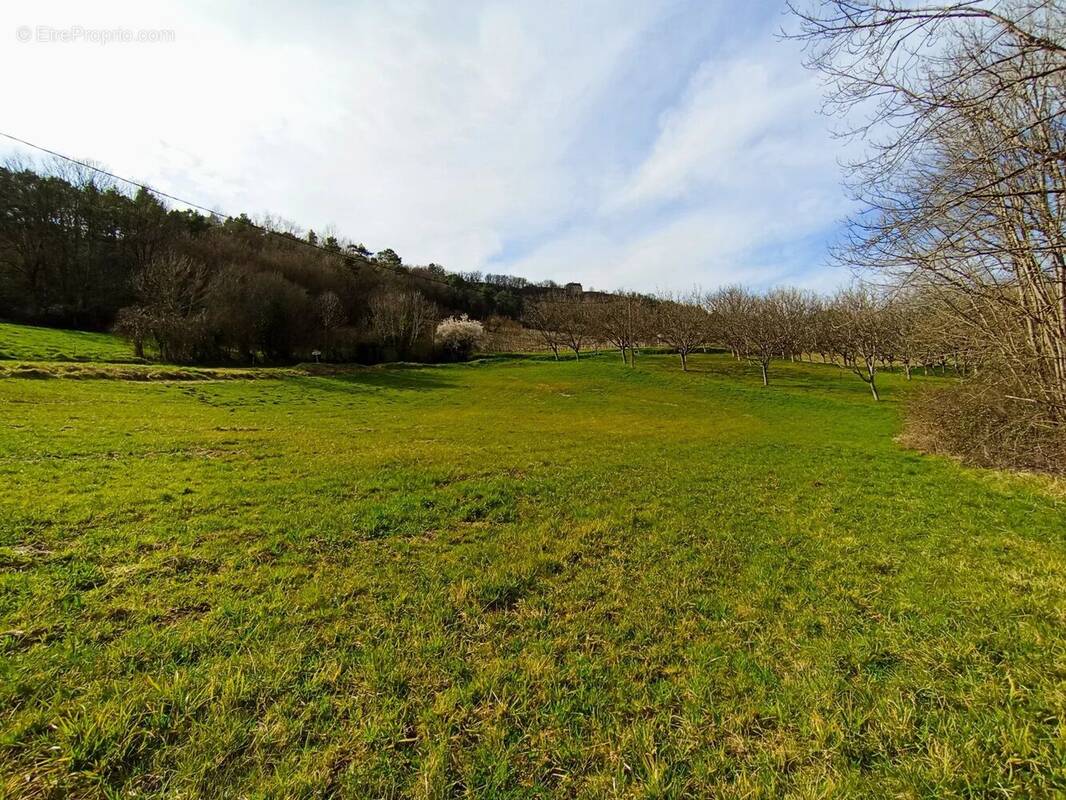 Terrain à BEAULIEU-SUR-DORDOGNE
