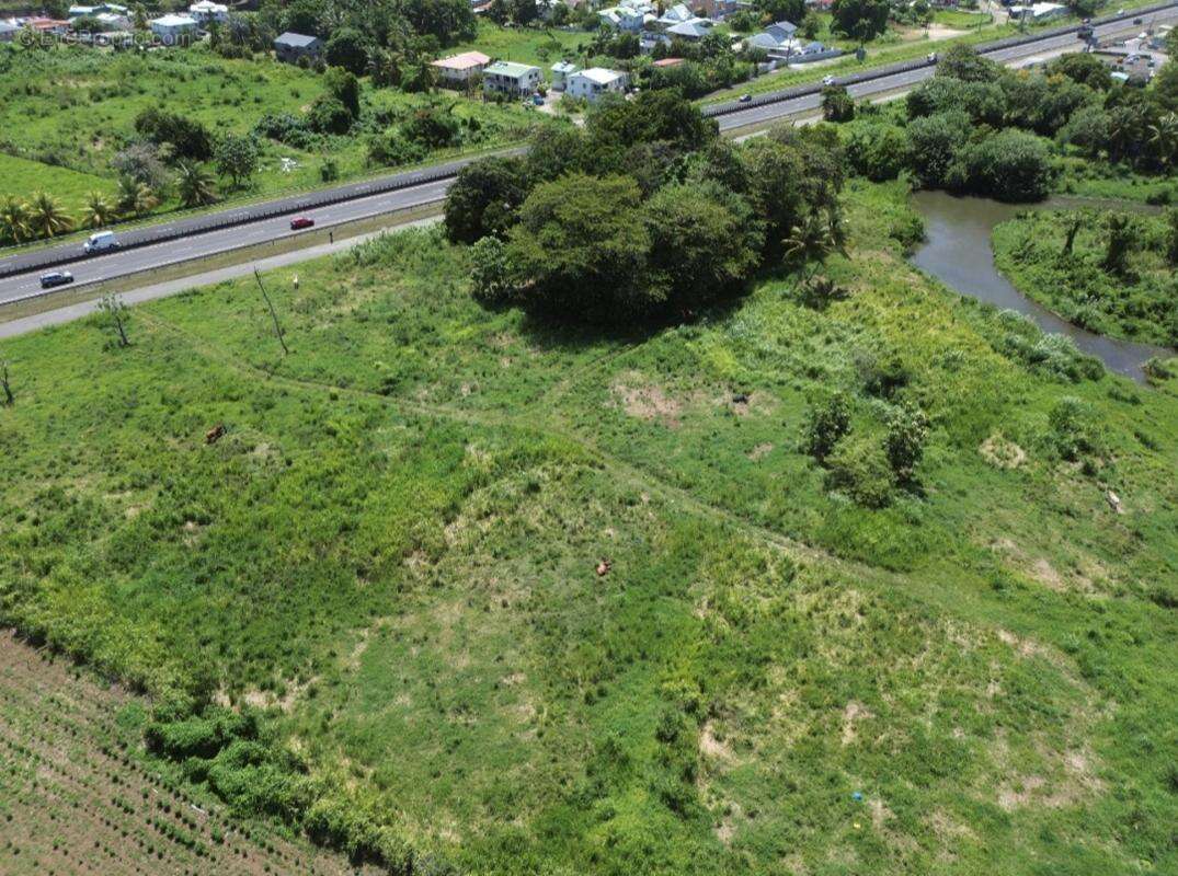 A vendre: terrain 1833 m2 petit-bourg 97170 - photo 5