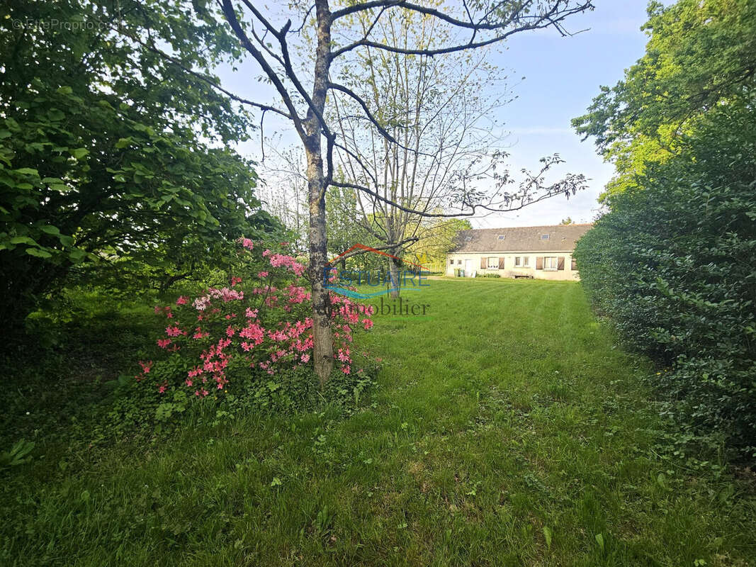 Maison à BLAIN