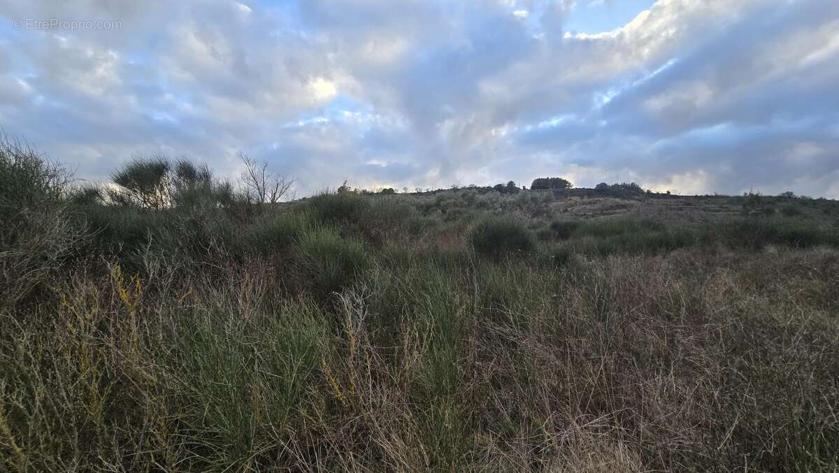 Terrain à PAILHES