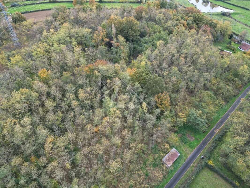 Terrain à SALIGNY-SUR-ROUDON
