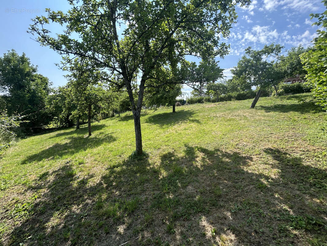 Terrain à POIX-DE-PICARDIE