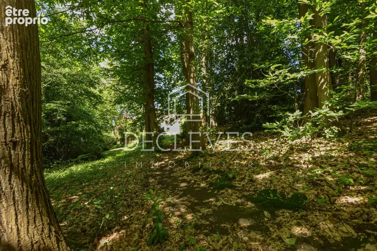 Maison familiale avec studio indépendant et sous-sol total - Lisière de forêt - ORGEVAL - photo 21