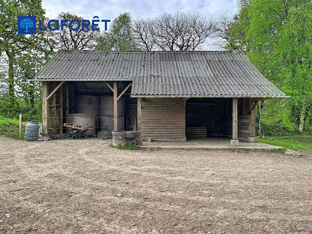 Maison à SAINTE-BRIGITTE