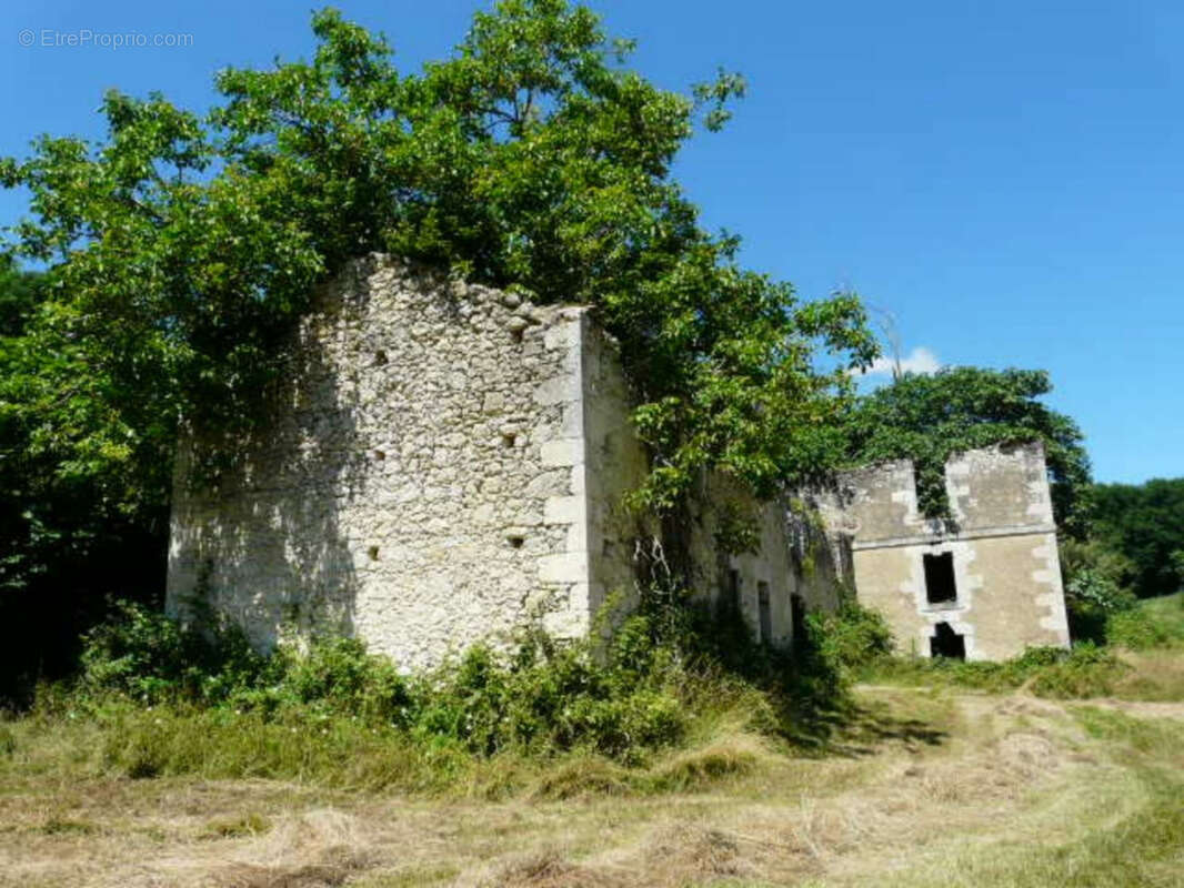 Ancienne Maison de Maître terre et bois 6 Ha - photo 3
