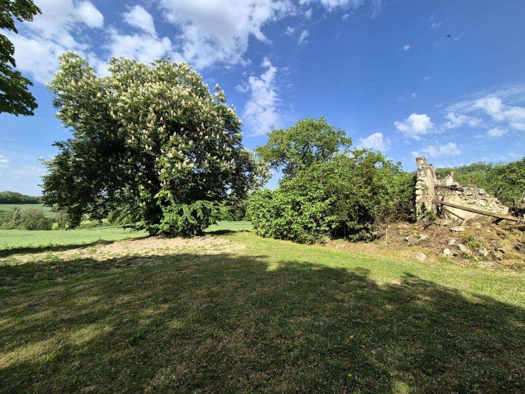 Maison en pierre avec beau terrain – cadre exceptionnel, sur le chemin de Saint-Jacques, à LA ROMIEU (32480) - photo 20