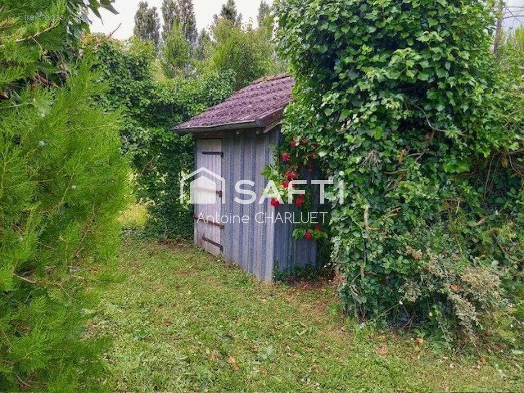 Photo 4 - Terrain à CLION