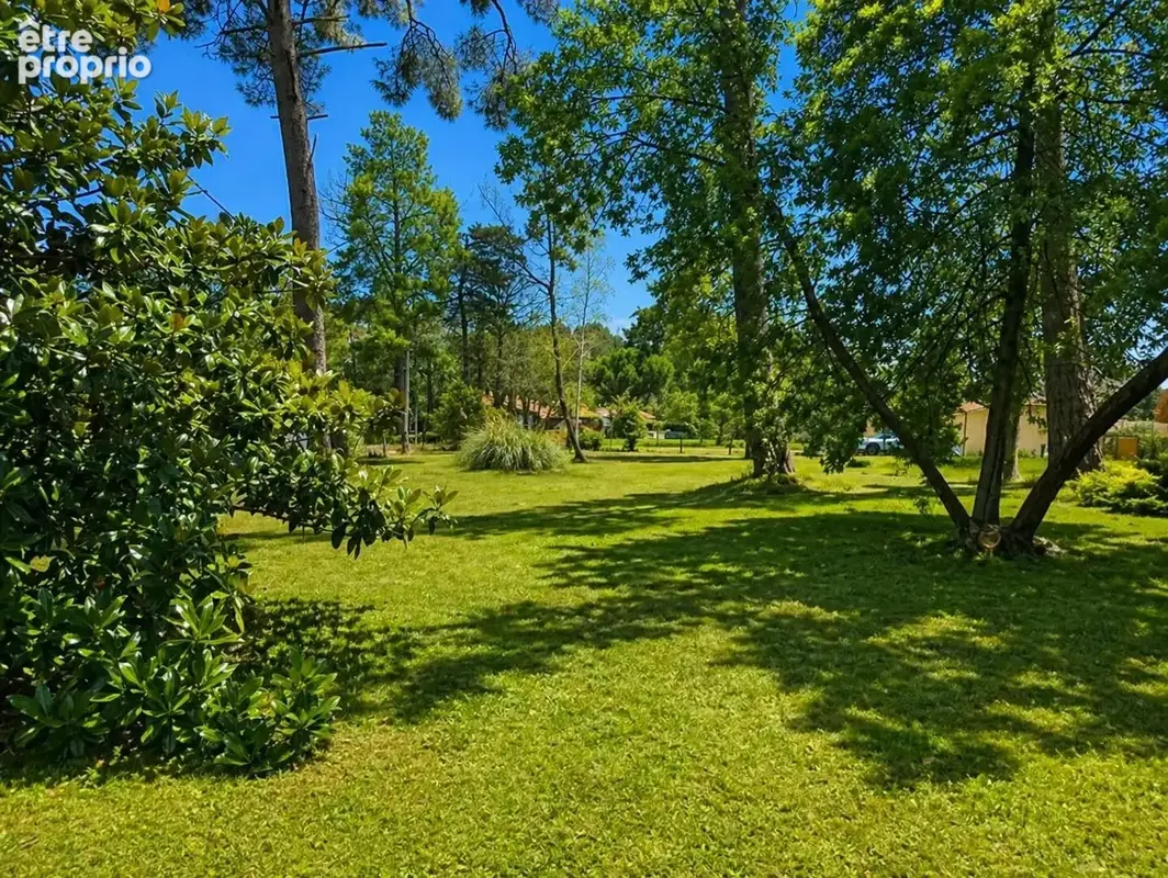 Photo Terrain à Chancelade au prix de 80 000€