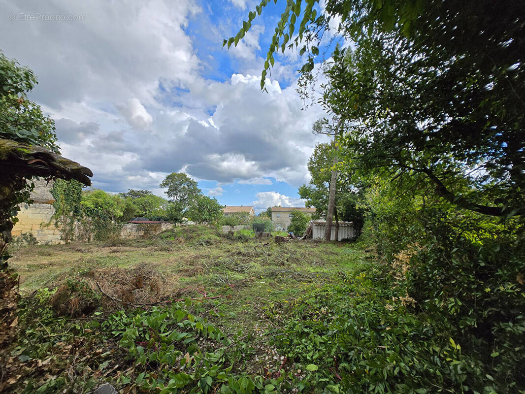 Terrain à SAINTE-EULALIE