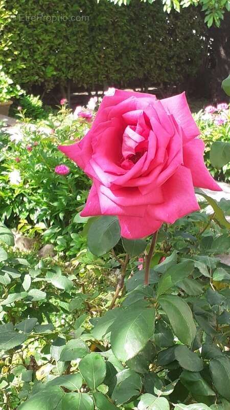 Maison à DIGNE-LES-BAINS