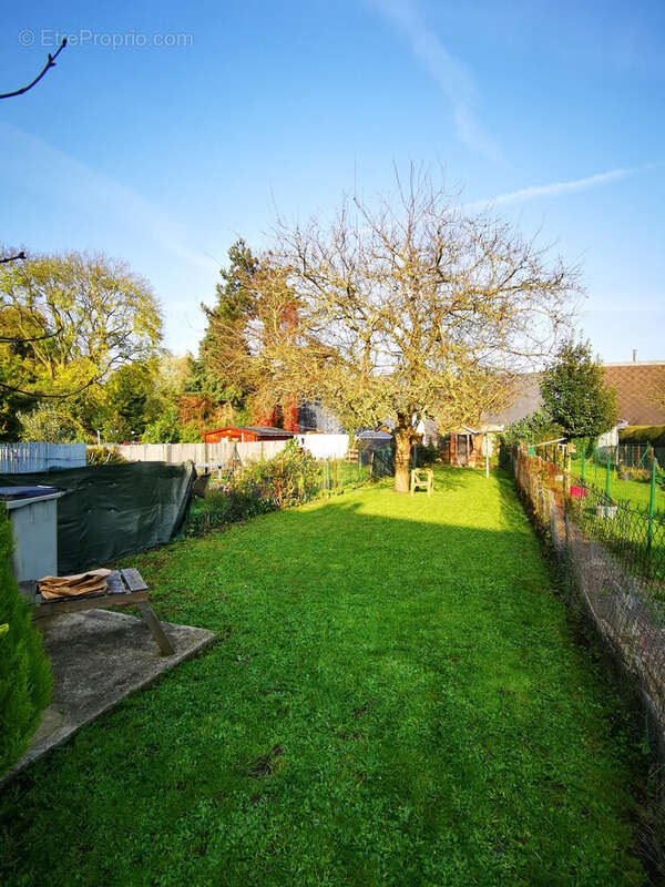 Maison à FRIVILLE-ESCARBOTIN