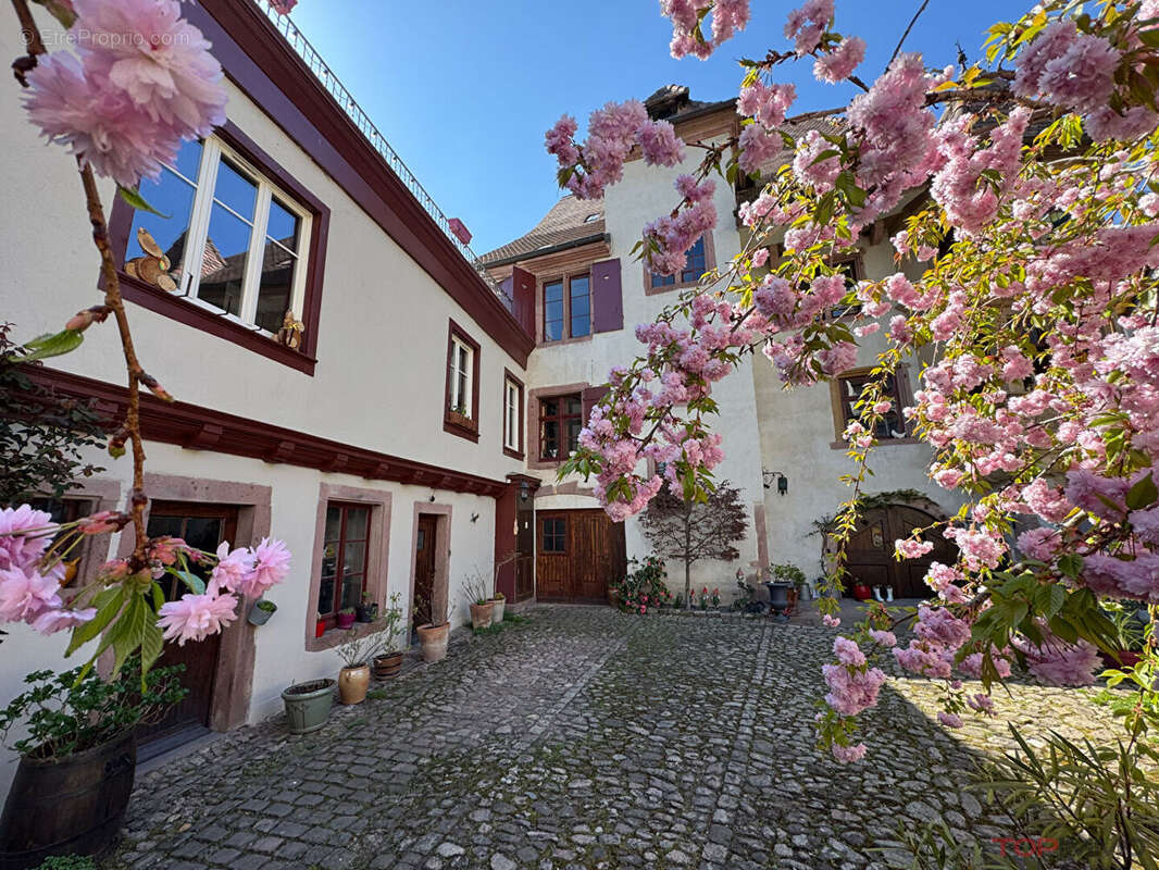 Maison à RIBEAUVILLE