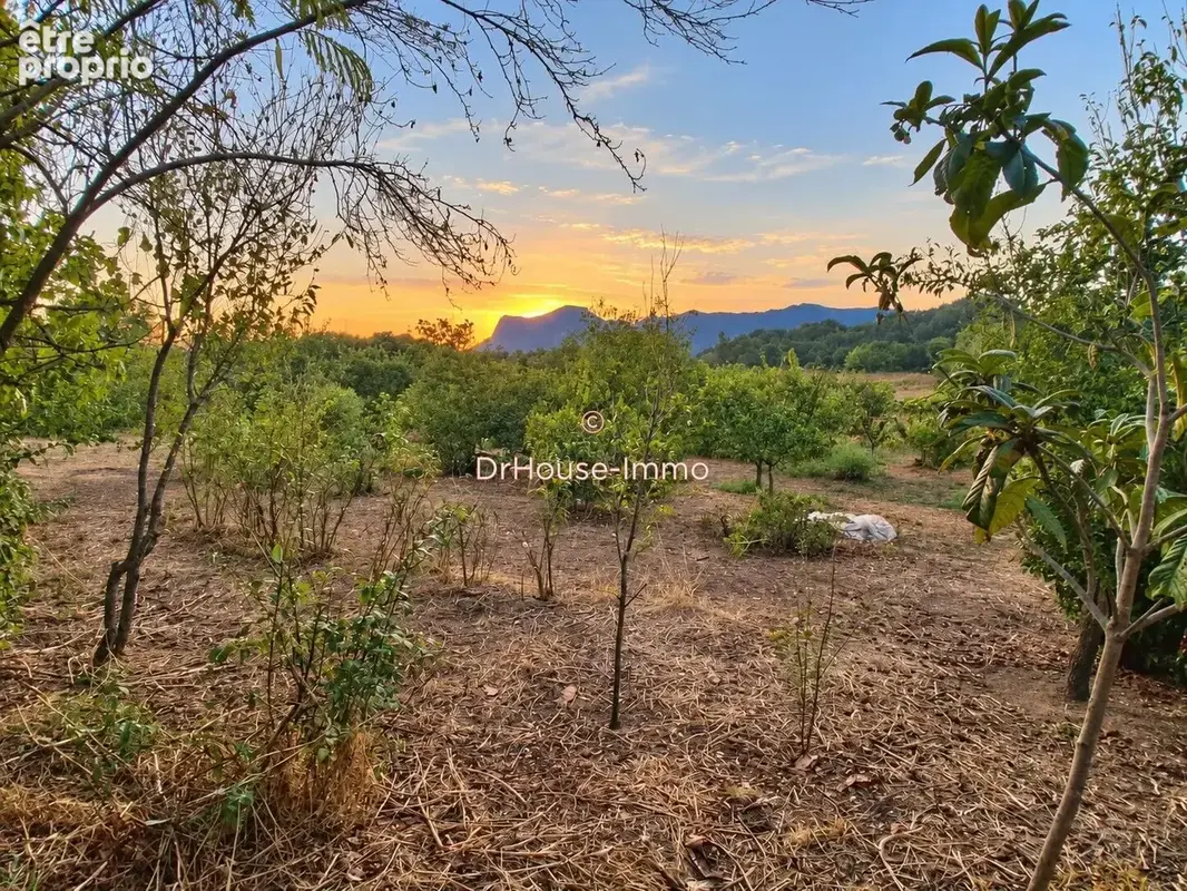 Terrain 985 m² à vendre à Peri (20167) - photo 2
