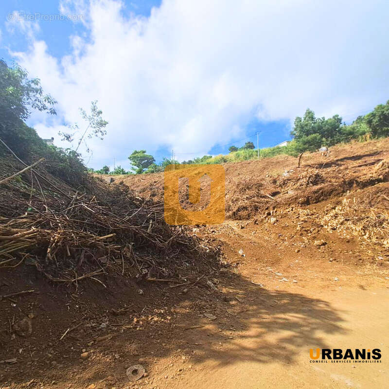 Terrain à SAINT-PAUL