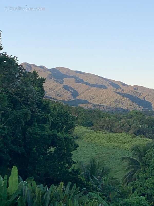 Maison à PETIT-BOURG