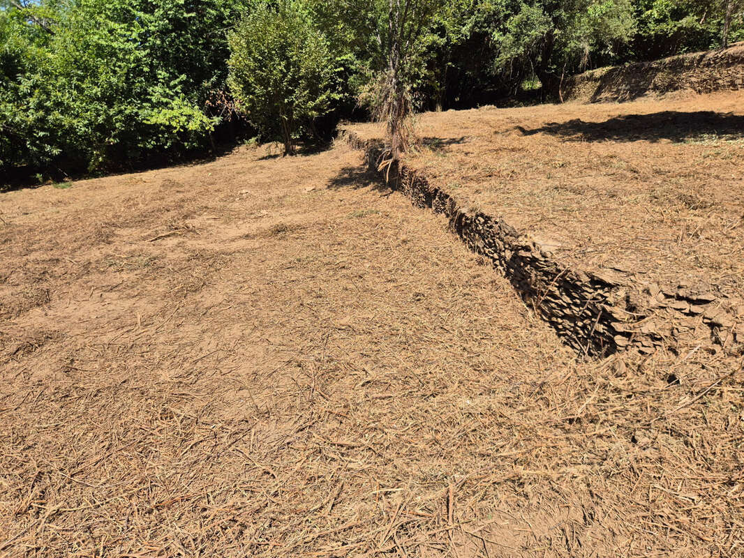 Terrain à vendre  LE COLLET DE DEZE (48) - photo 2
