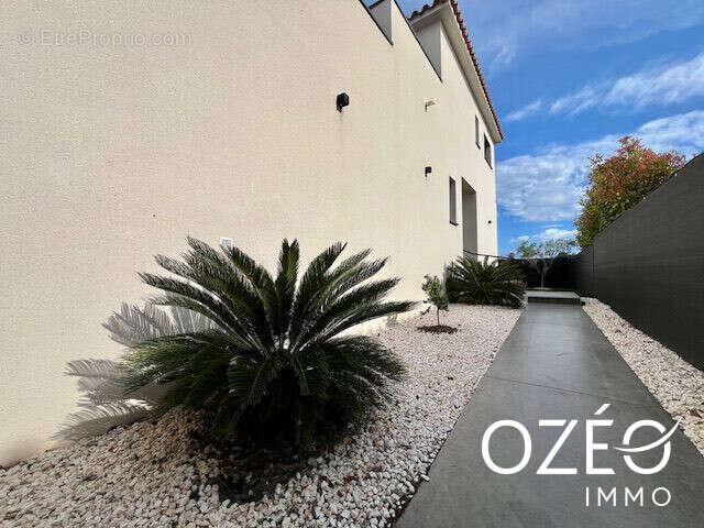 Maison à VILLELONGUE-DE-LA-SALANQUE