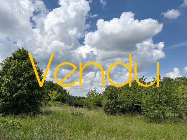 Maison à L&#039;HONOR-DE-COS