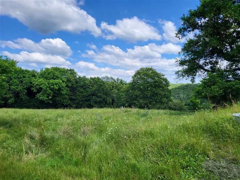 Maison à BUSSIERE-POITEVINE