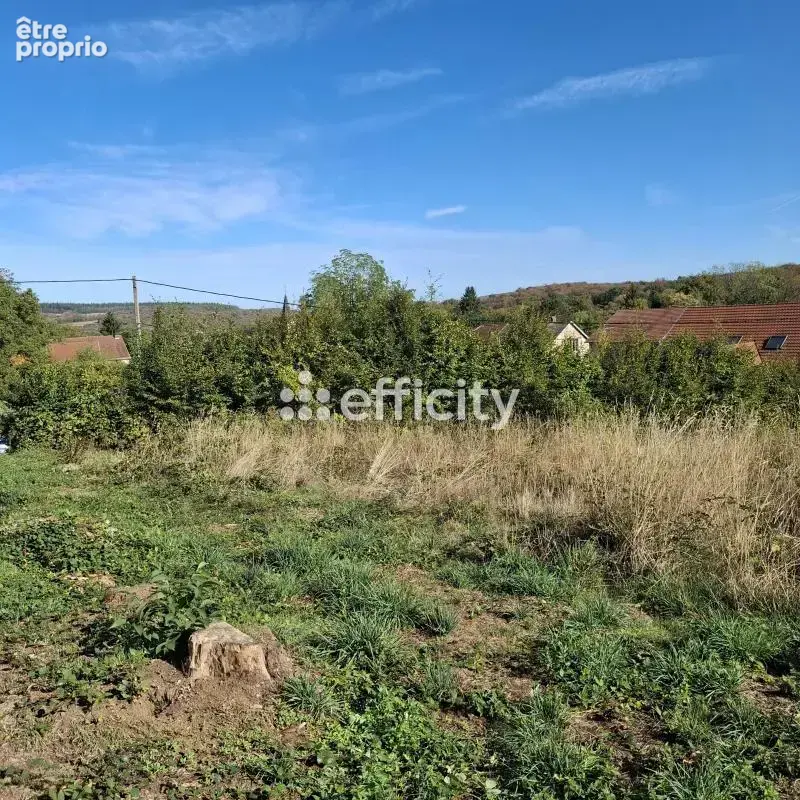 Terrain 796 m² à Tresilley  - photo 4