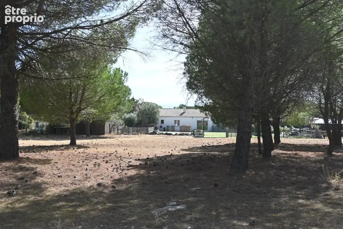 Villa de plain-pied avec piscine et grand terrain arboré à Villemoustaussou - photo 4