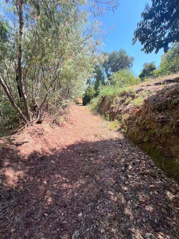 Photo 3 - Terrain à AURIBEAU-SUR-SIAGNE