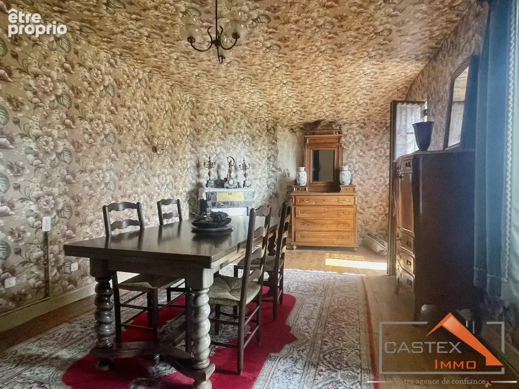 SALIES-DU-SALAT  334 m² + terrains constructibles  Fort potentiel - photo 12