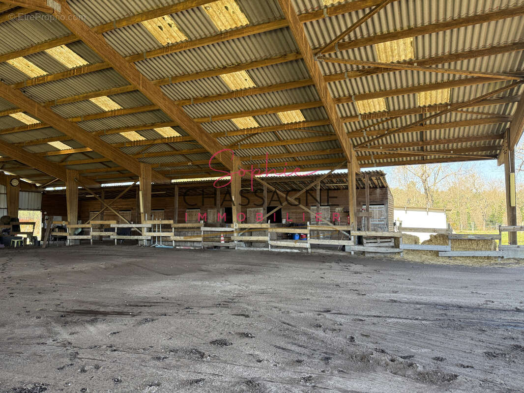 À 20 minutes de Lacanau, sur plus de 10 hectares, écurie de propriétaires avec maison de 80 m2 et installation - photo 6
