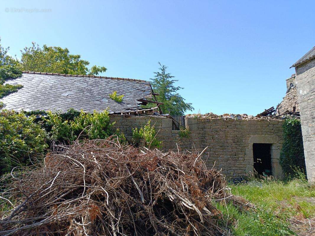 Maison à LANGONNET