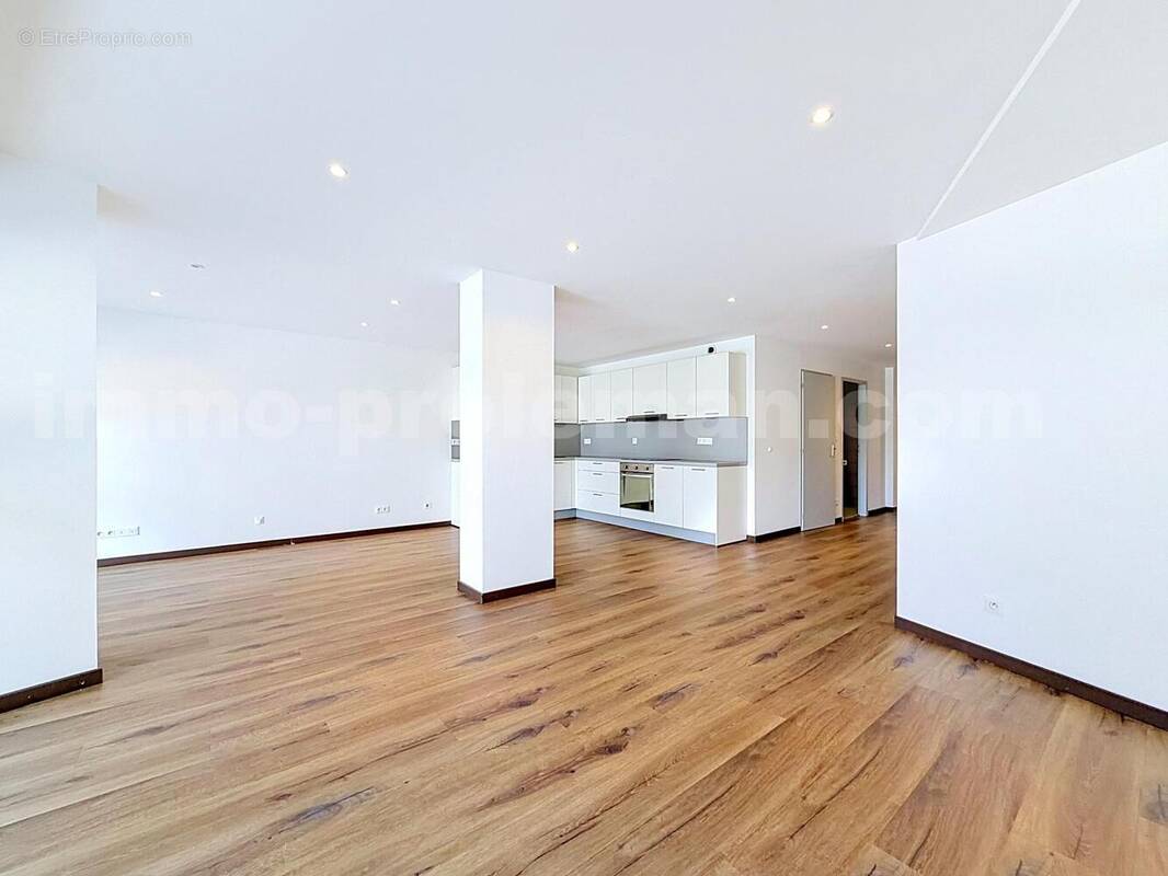 Appartement_T3_Annemasse_belle_superficie_prox_frontière_Suisse_tram_Ceva_direction_GENEVE_Frontaliers_Salon_Séjour_Cuisine - Appartement à ANNEMASSE