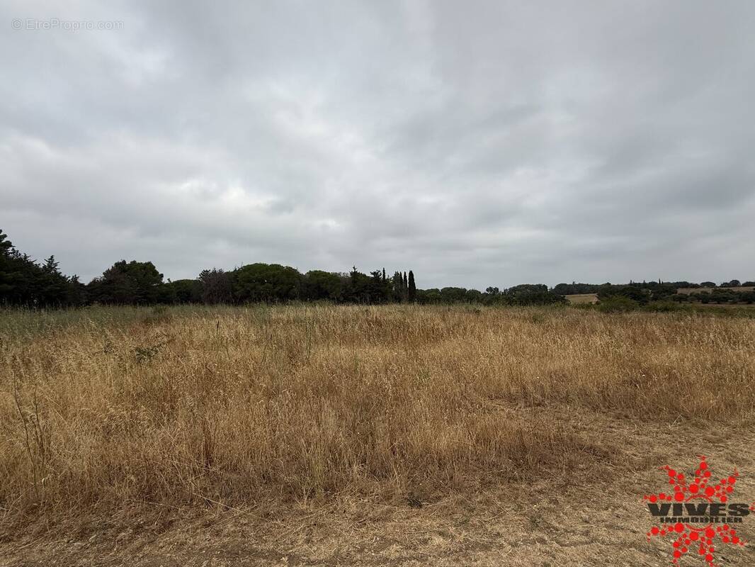 Terrain à CAZOULS-LES-BEZIERS