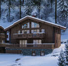 Chalet D - Maison à CHATEL