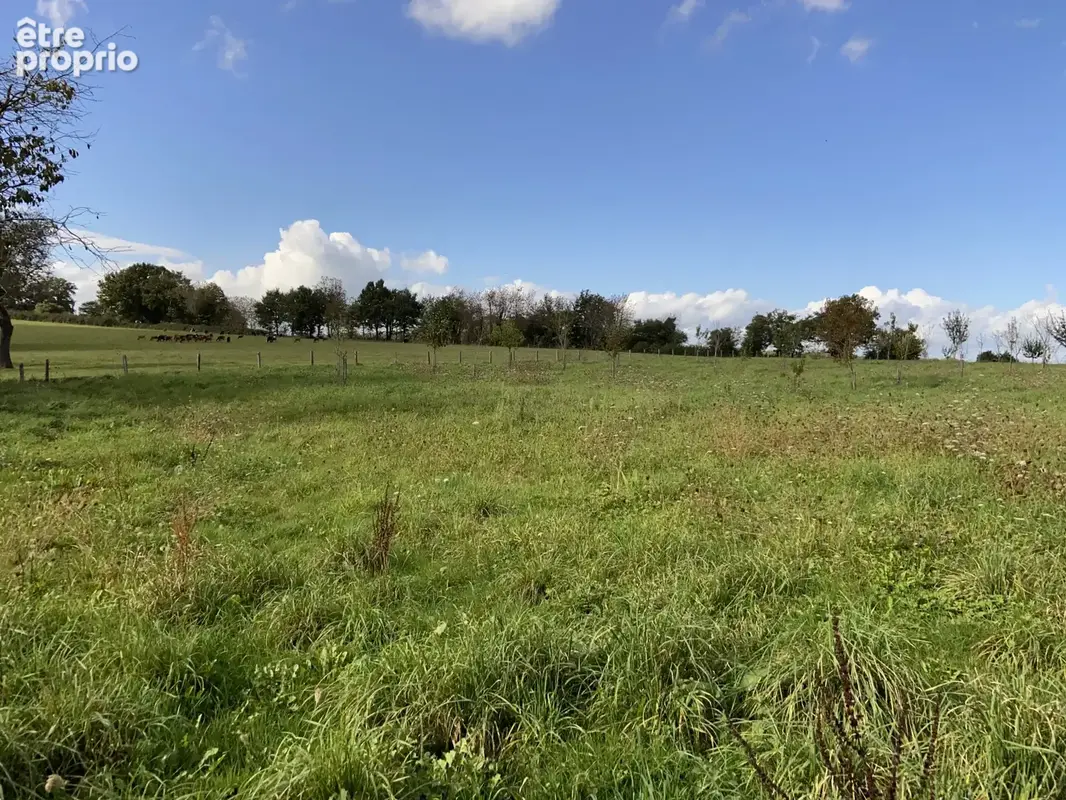 Corps de ferme à rénover sur 1 Ha de terres attenantes. - photo 4