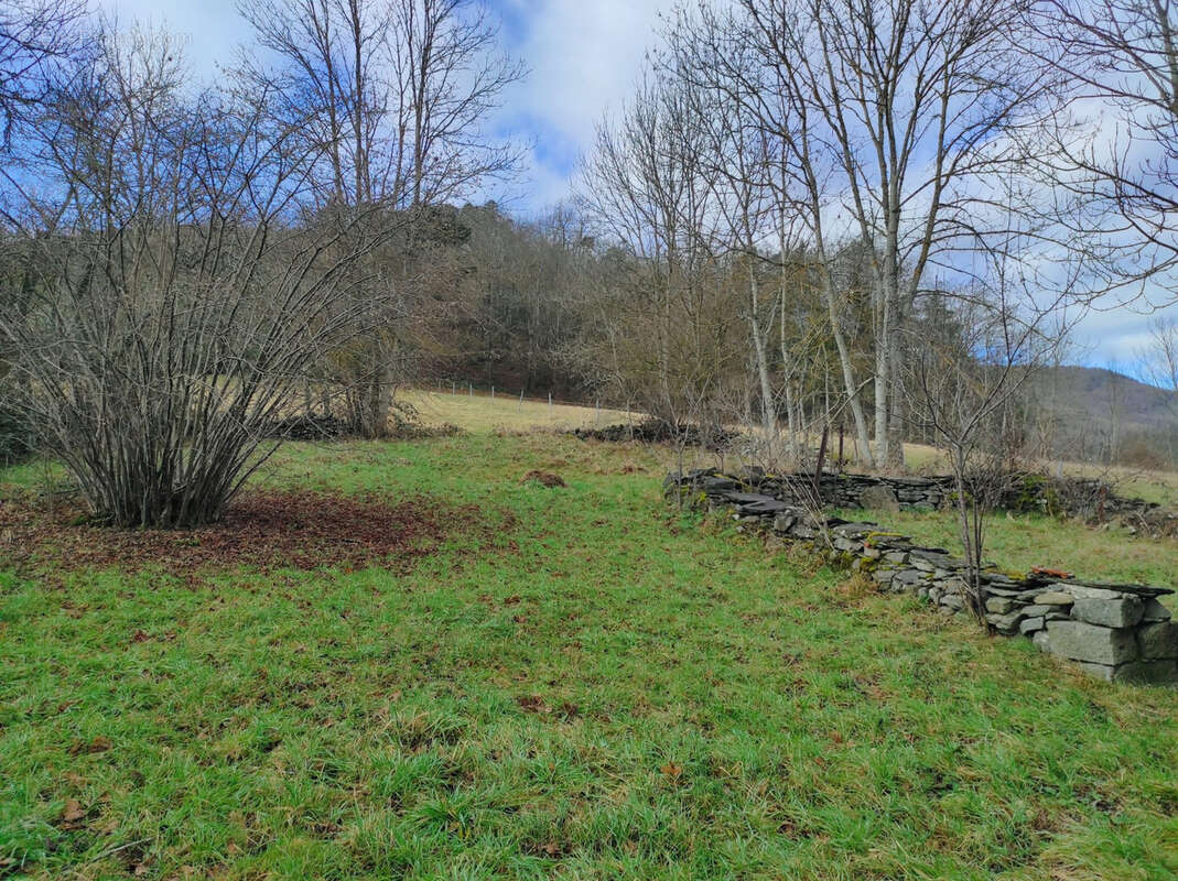 Maison à SAINT-JULIEN-DU-PINET
