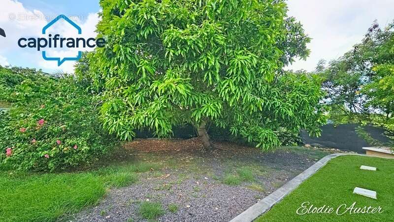 Maison à ANSE-BERTRAND