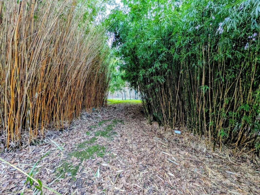 Maison à LA FERTE-SOUS-JOUARRE