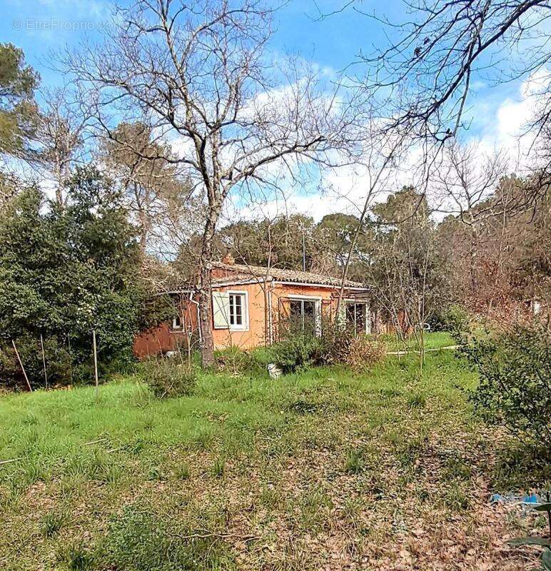 Deux maisons sur 3 hectares de nature - photo 3